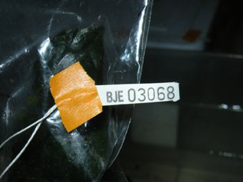 Media type: image;   Herpetology A-148034 Aspect: label